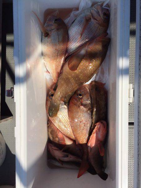 遊漁船高橋 釣果