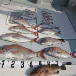 遊漁船 幸友丸 釣果