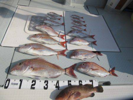 遊漁船 幸友丸 釣果