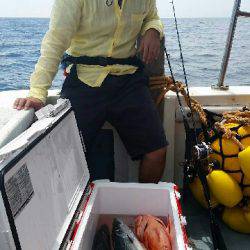 第五慶門丸 釣果