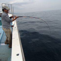 清和丸 釣果