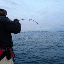 遊漁船ブルーウッズ 釣果