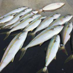 寿裕 (YOSHIHIRO) 釣果