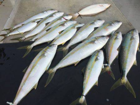 寿裕 (YOSHIHIRO) 釣果