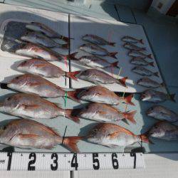 遊漁船 幸友丸 釣果