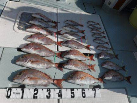 遊漁船 幸友丸 釣果