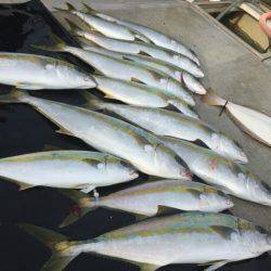 寿裕 (YOSHIHIRO) 釣果