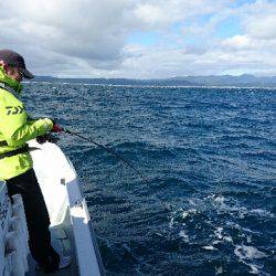 遊漁船ブルーウッズ 釣果