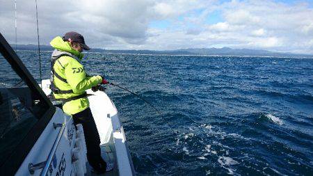 遊漁船ブルーウッズ 釣果