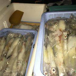 幸風(さちかぜ) 釣果