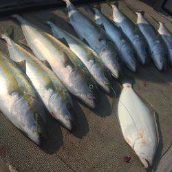 寿裕 (YOSHIHIRO) 釣果