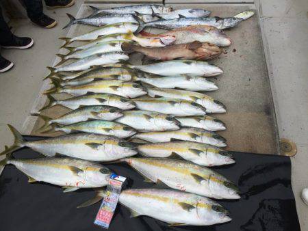 寿裕 (YOSHIHIRO) 釣果