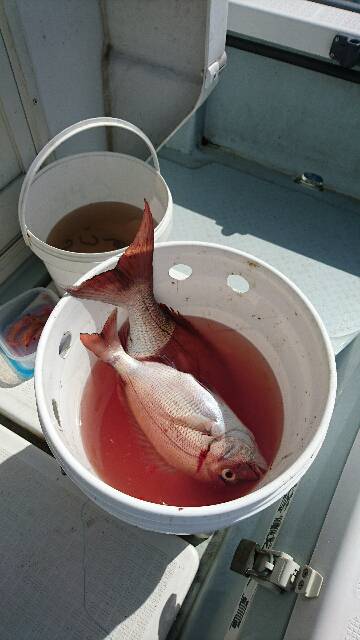 遊漁船ブルーウッズ 釣果