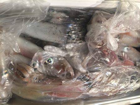 幸風(さちかぜ) 釣果