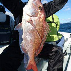 遊漁船ブルーウッズ 釣果