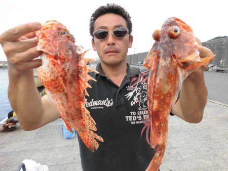 大進丸（新潟） 釣果