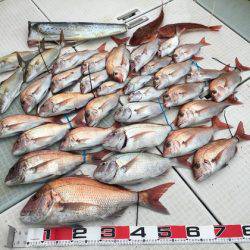 ふじしめ丸 釣果