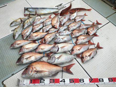 ふじしめ丸 釣果