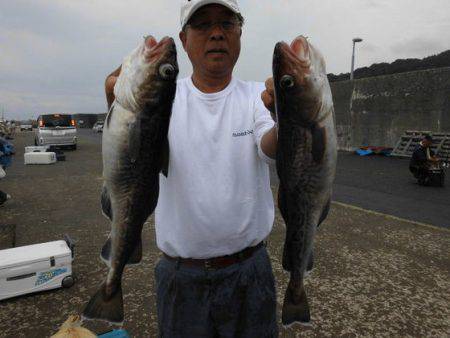 大進丸（新潟） 釣果