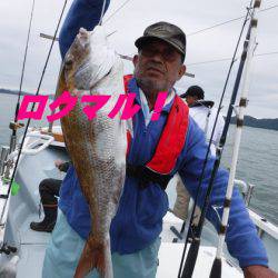 遊漁船 幸友丸 釣果