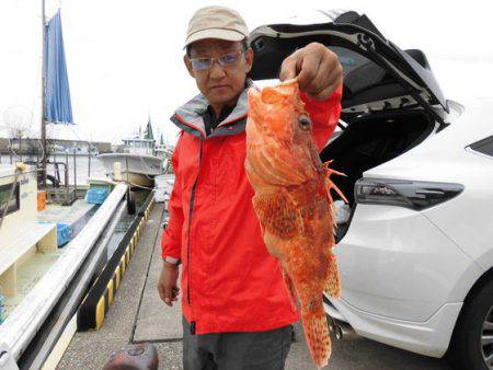 大進丸（新潟） 釣果