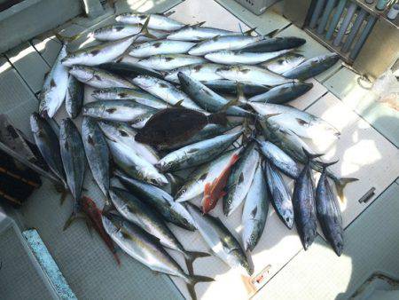 ふじしめ丸 釣果