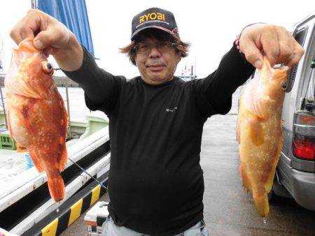 大進丸(新潟) 釣果