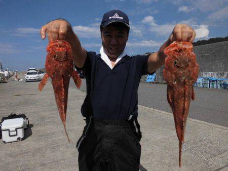大進丸(新潟) 釣果
