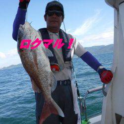 遊漁船 幸友丸 釣果