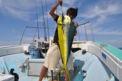八海丸 釣果