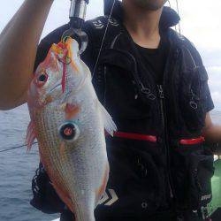 遊漁船 新鋭丸 釣果