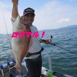 遊漁船 幸友丸 釣果