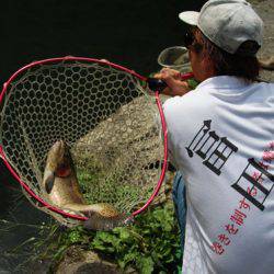 小菅トラウトガーデン 釣果