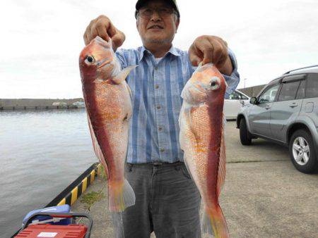大進丸（新潟） 釣果