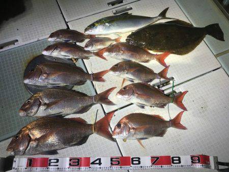 ふじしめ丸 釣果