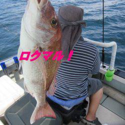 遊漁船 幸友丸 釣果