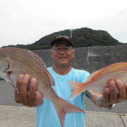 大進丸(新潟) 釣果