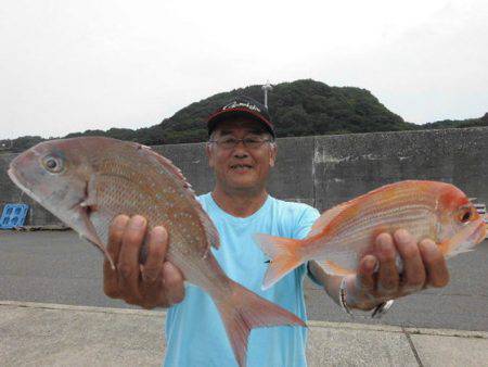 大進丸(新潟) 釣果