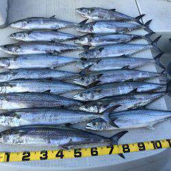 オーシャンズ 釣果