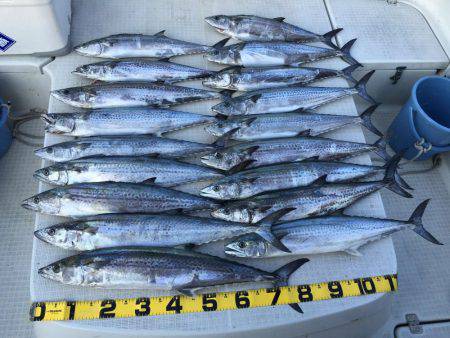 オーシャンズ 釣果