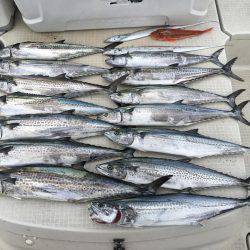 オーシャンズ 釣果