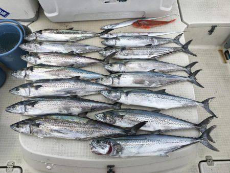 オーシャンズ 釣果