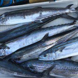 オーシャンズ 釣果