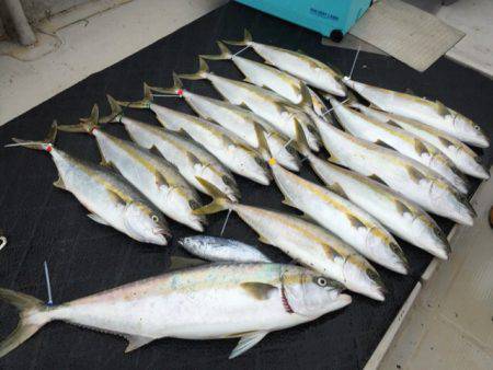 寿裕 （YOSHIHIRO） 釣果