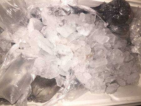 幸風(さちかぜ) 釣果