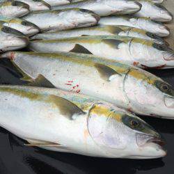 寿裕 (YOSHIHIRO) 釣果