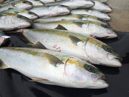 寿裕 (YOSHIHIRO) 釣果