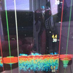 遊漁船ブルーウッズ 釣果