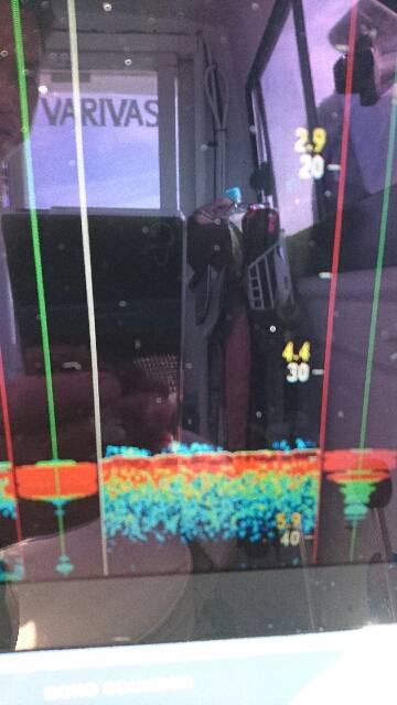 遊漁船ブルーウッズ 釣果