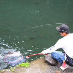 小菅トラウトガーデン 釣果